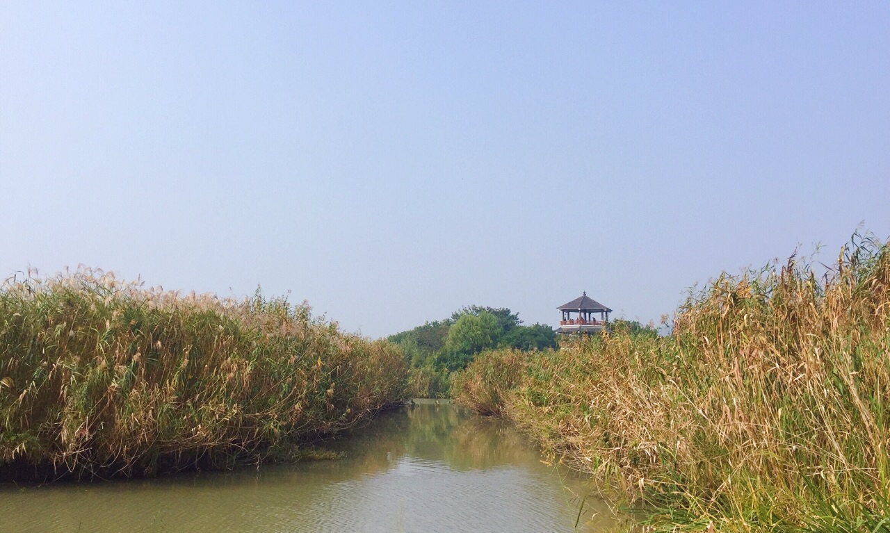 德清下渚湖湿地公园