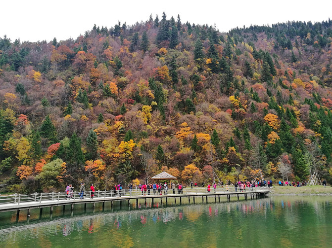 四川阿坝州黑水县奶子沟观彩林