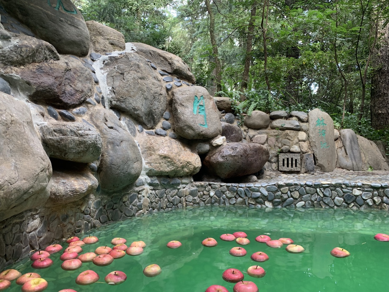安宁金方森林温泉好玩吗,安宁金方森林温泉景点怎么样