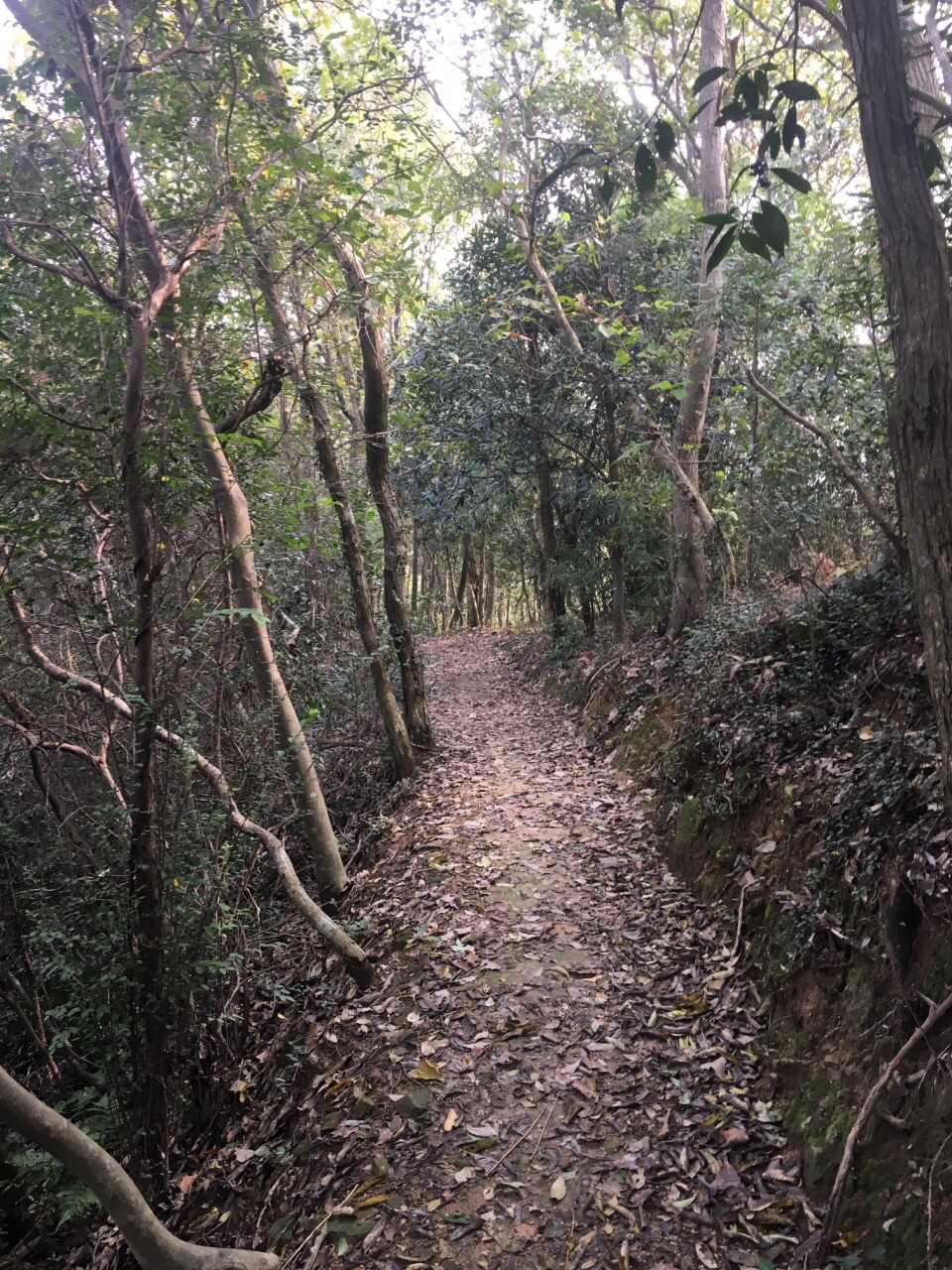 【携程攻略】宁波北山游步道景点,北山游步道有好几个地方可以进去的.