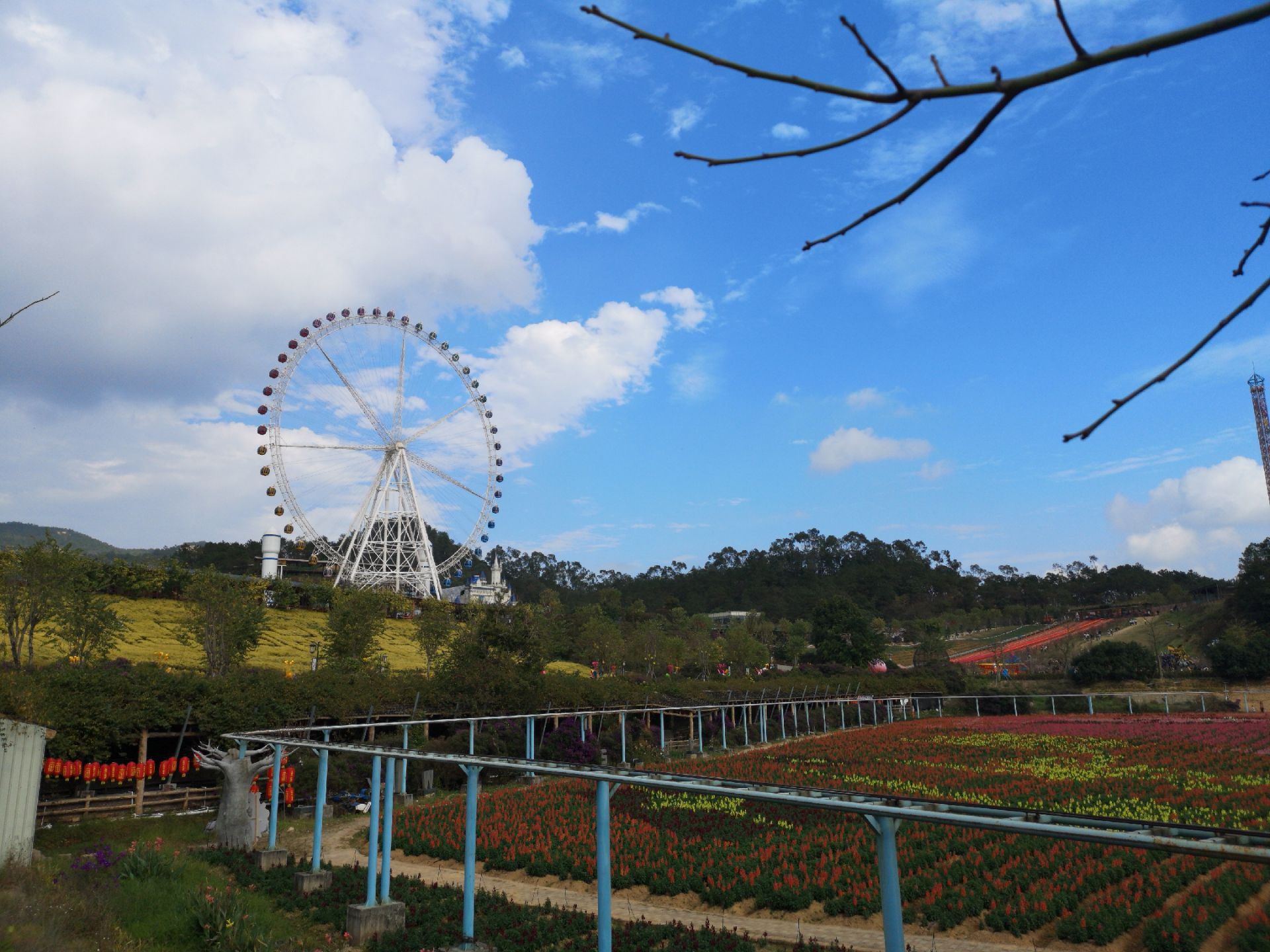 望天湖旅游度假区旅游景点攻略图