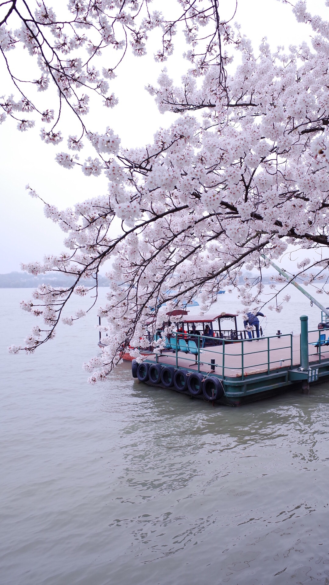 2019鼋头渚_旅游攻略_门票_地址_游记点评,无锡旅游景点推荐 去哪儿