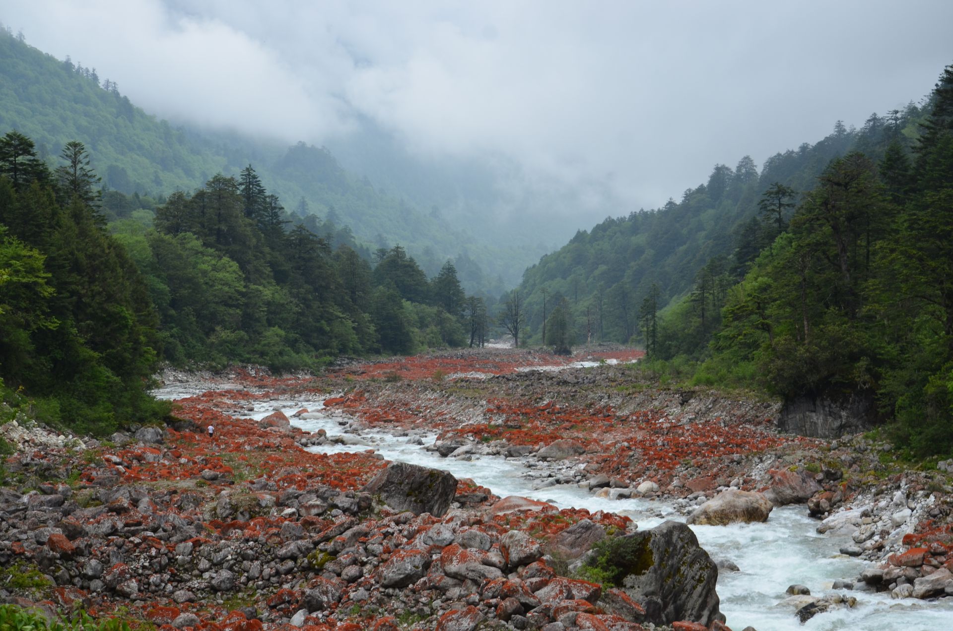 雅家埂红石滩公园