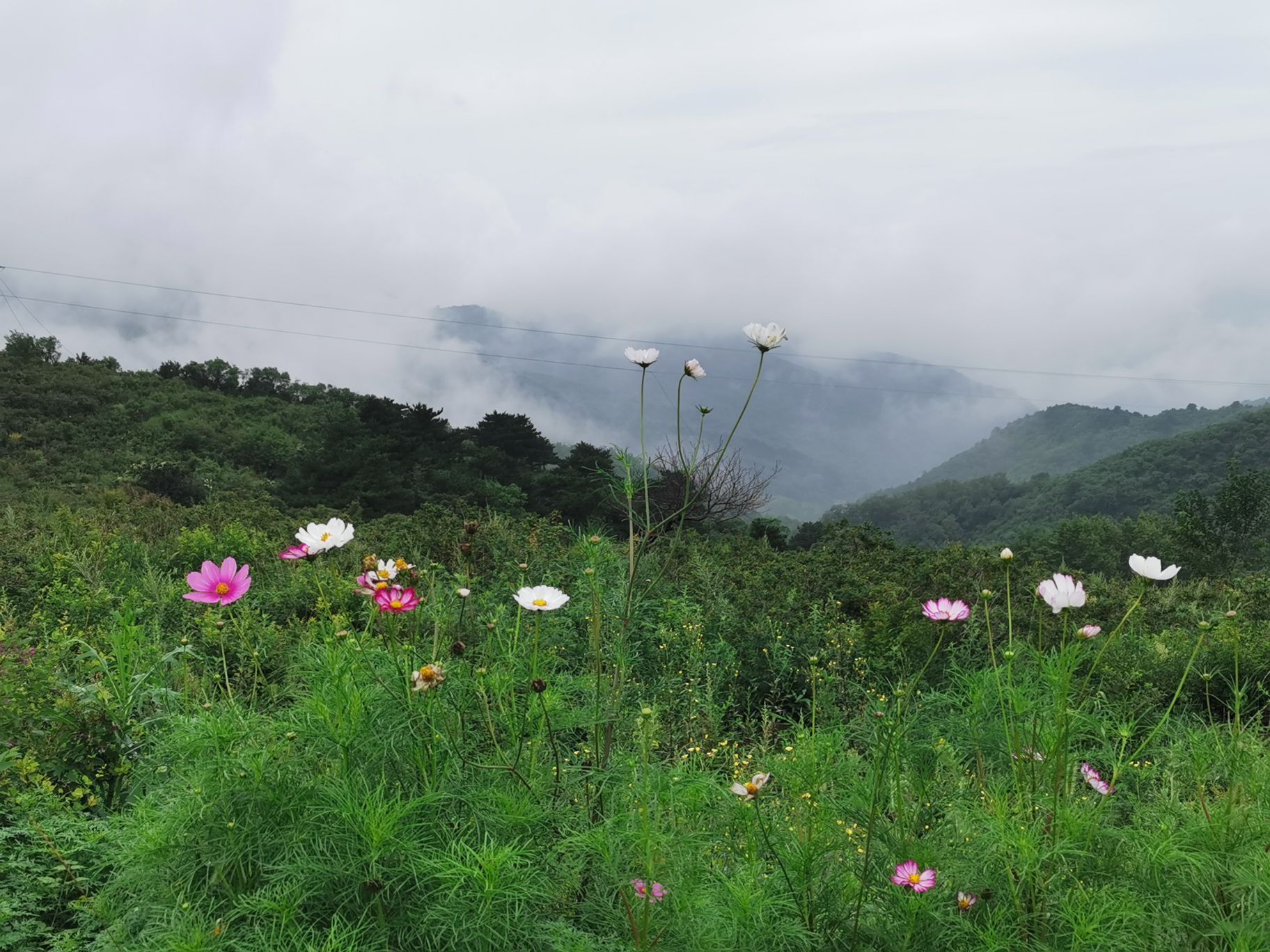 阳台山自然风景区旅游景点攻略图