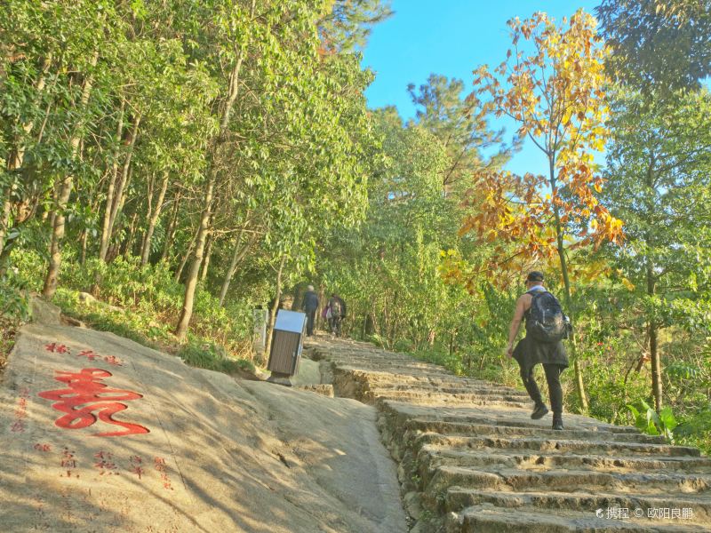 登山古径