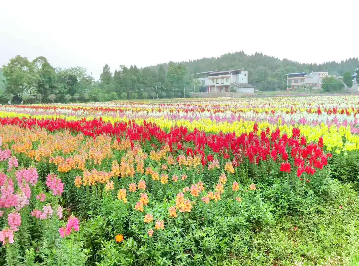 三台县博物馆