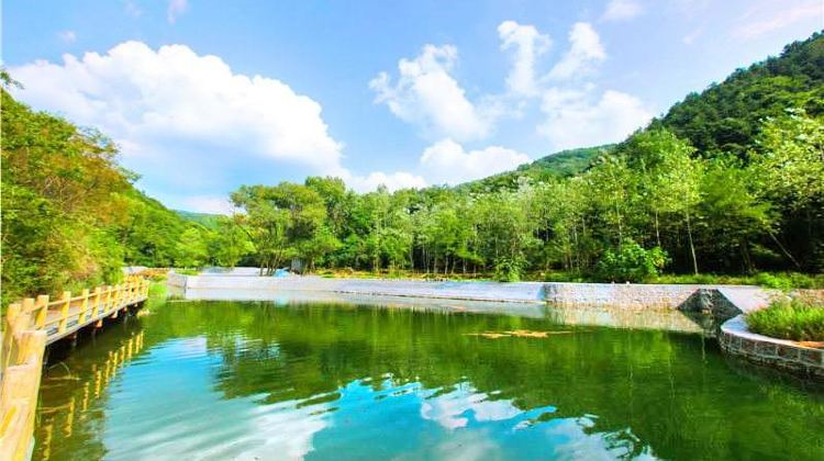 灵宝燕子山原始生态旅游风景区游玩攻略-燕子山原始生态旅游风景区