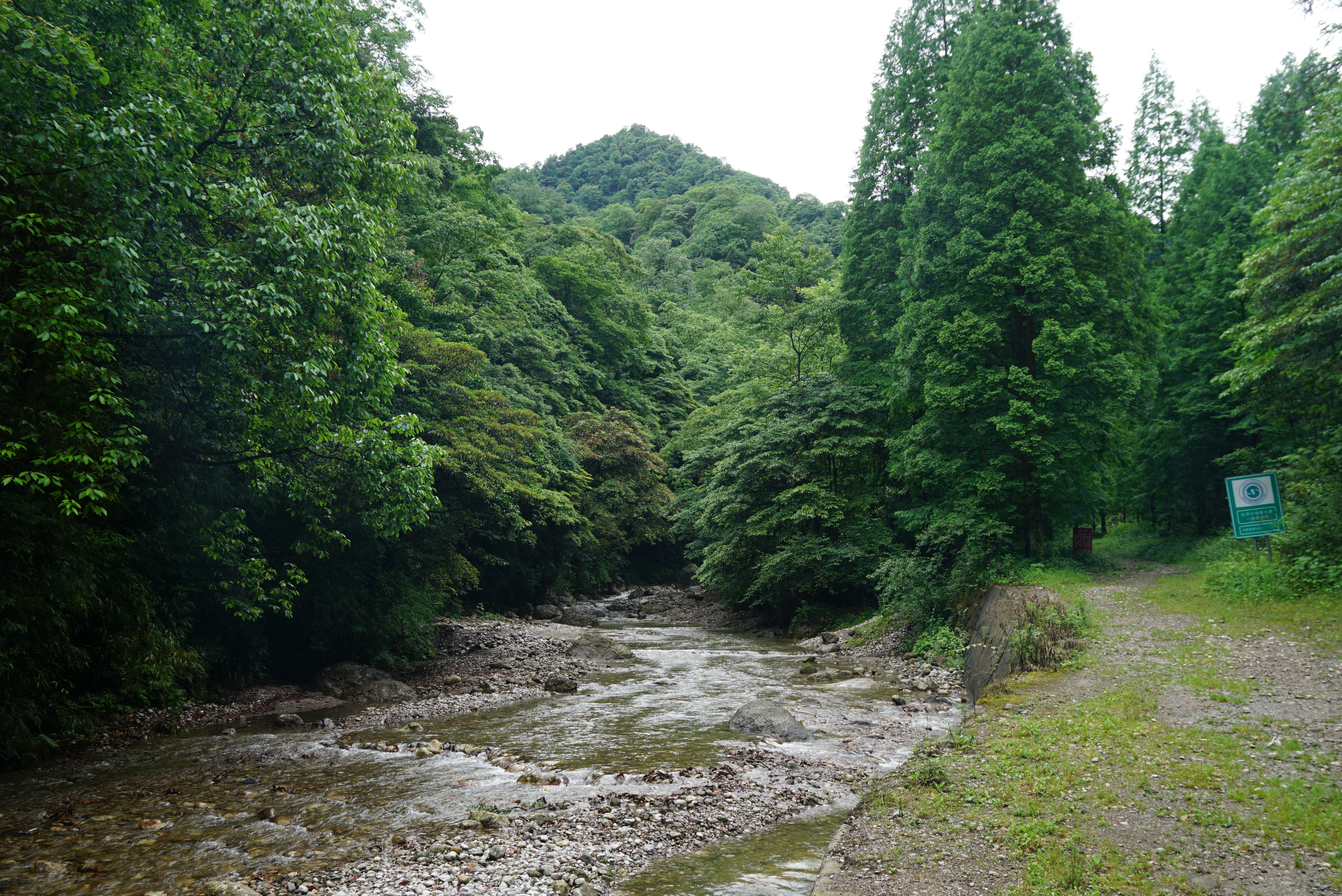青城后山少有人去的绝佳风景山沟