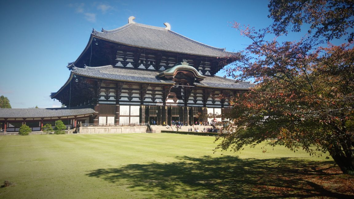 奈良东大寺好玩吗,奈良东大寺景点怎么样_点评_评价