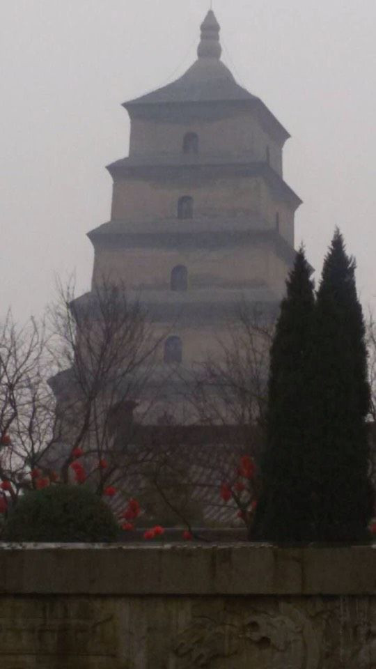 明洞、郑州(兵马俑)、洛阳(龙门)、西安(法门寺美食照片宝鸡图片