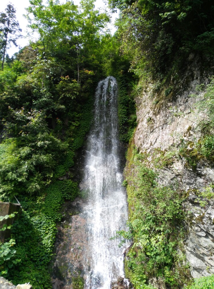 雷公山国家森林公园