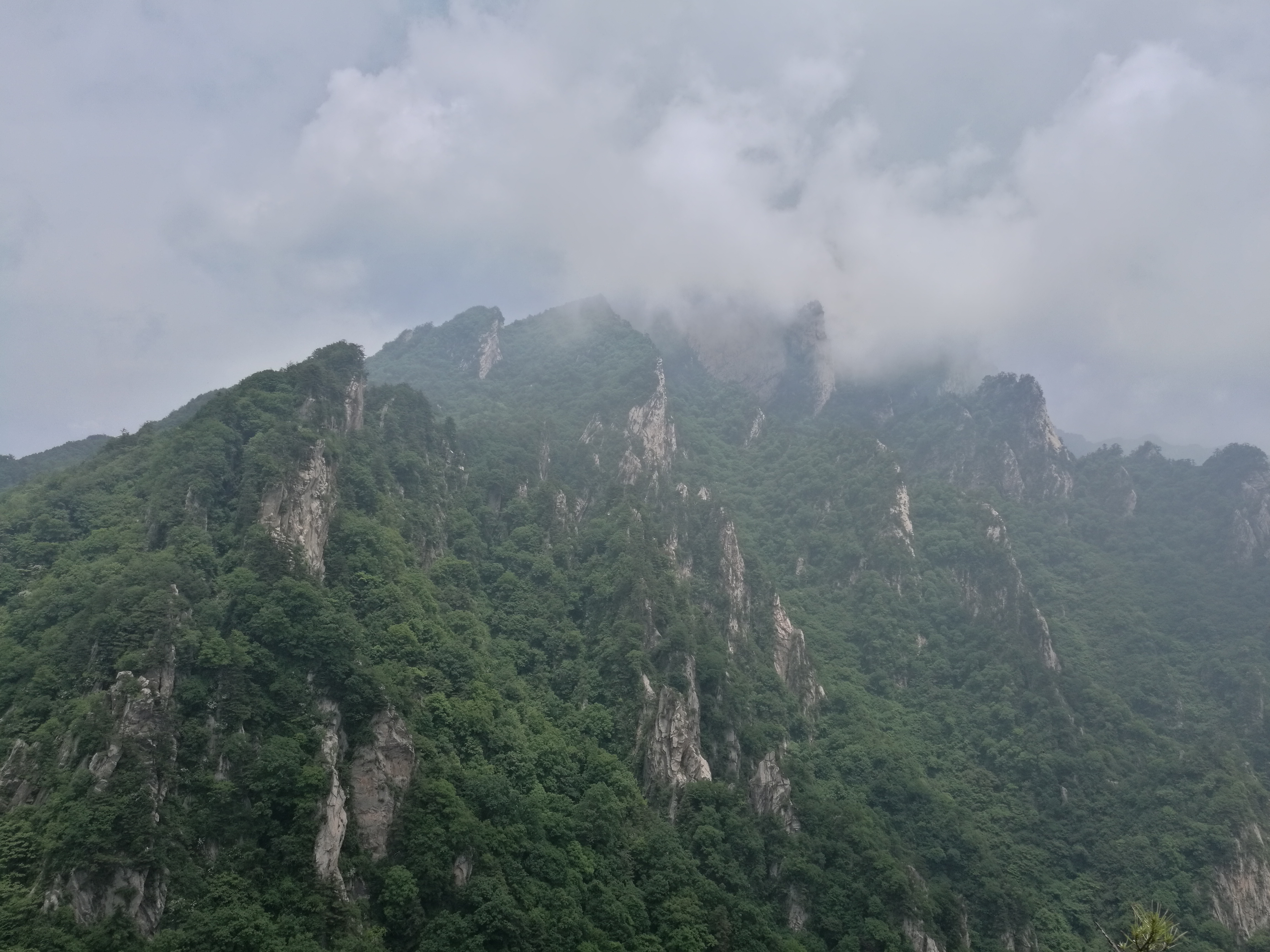 如果说同属伏牛山的老君山是壮美的话,老界岭可以说是秀美,典型的小家