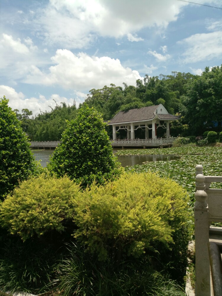 南宁狮山公园好玩吗,南宁狮山公园景点怎么样_点评