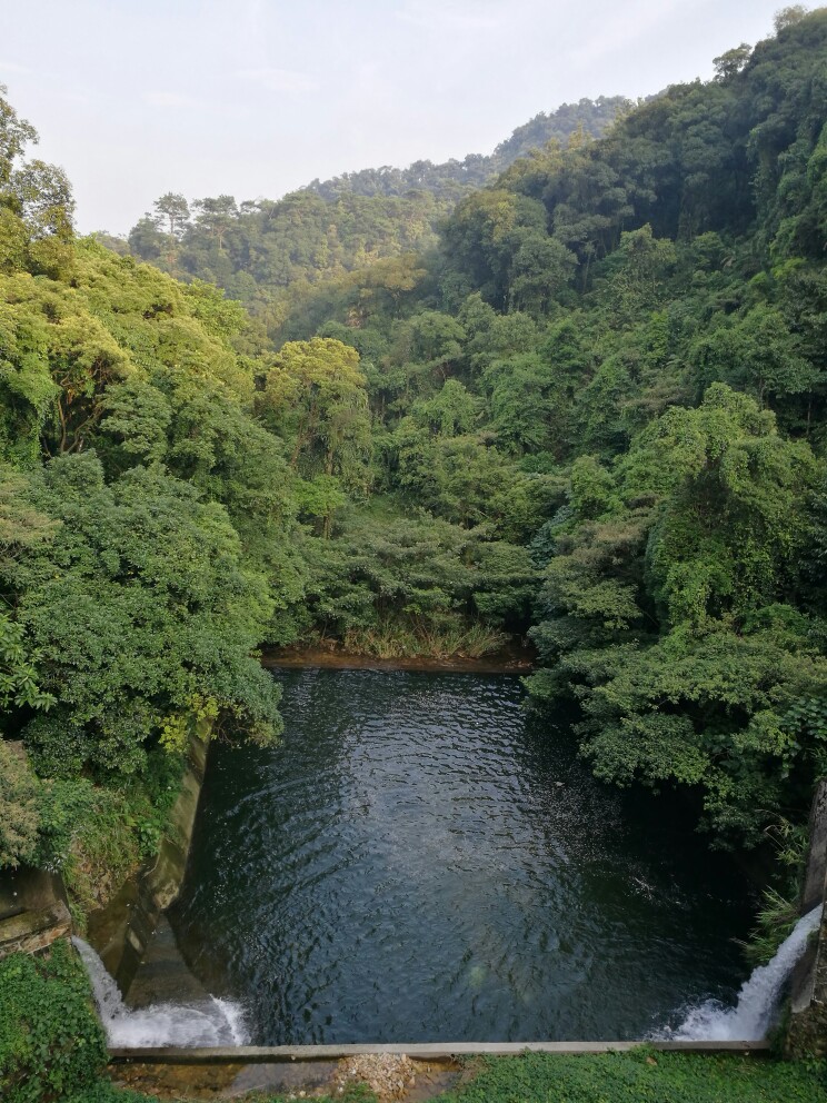 鼎湖山