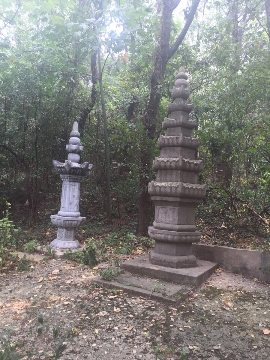 【携程攻略】江苏南京菊花台公园好玩吗,江苏菊花台公园景点怎麼样