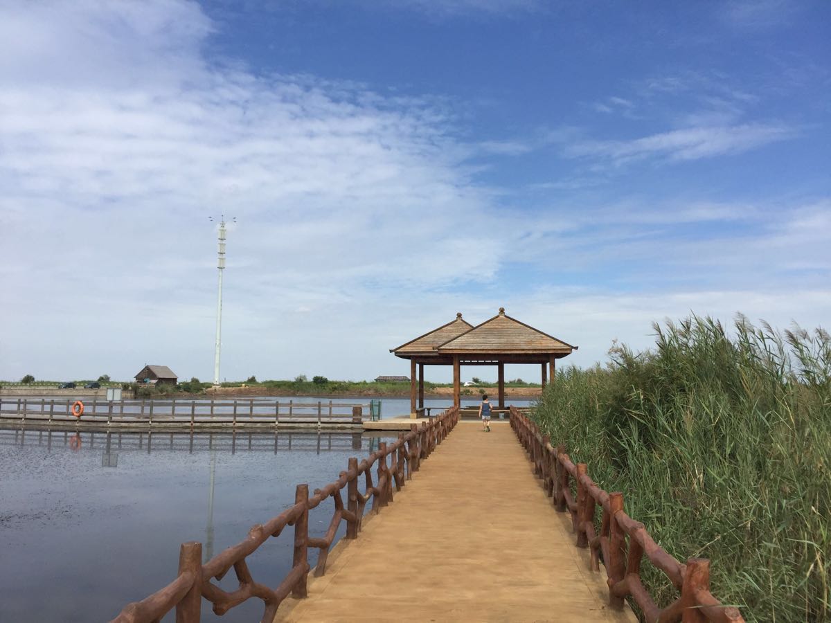 【携程攻略】山东东营垦利黄河口生态旅游区好玩吗,区