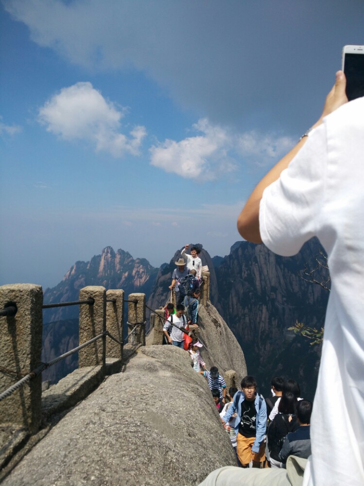 鲫鱼背