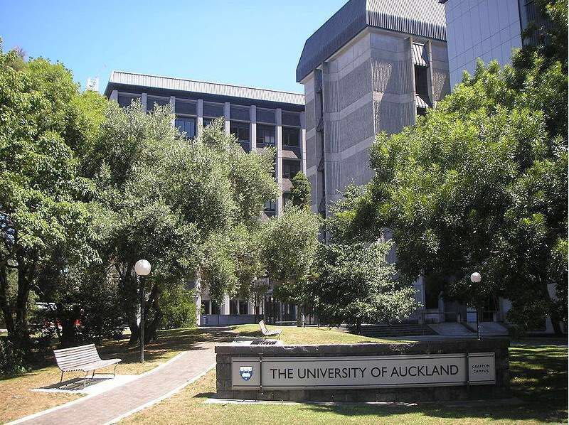 奥克兰大学