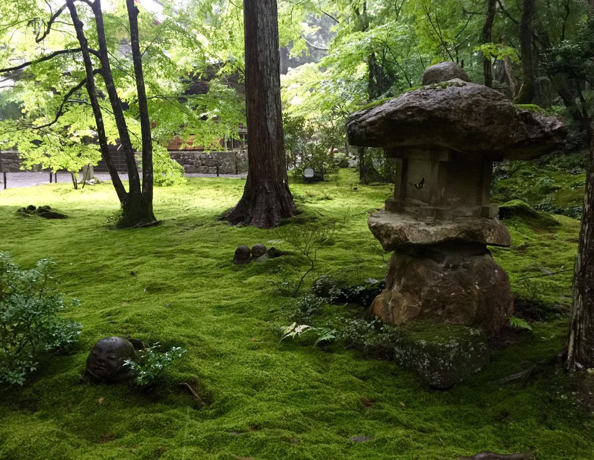 2019三千院_旅游攻略_门票_地址_游记点评,京都旅游