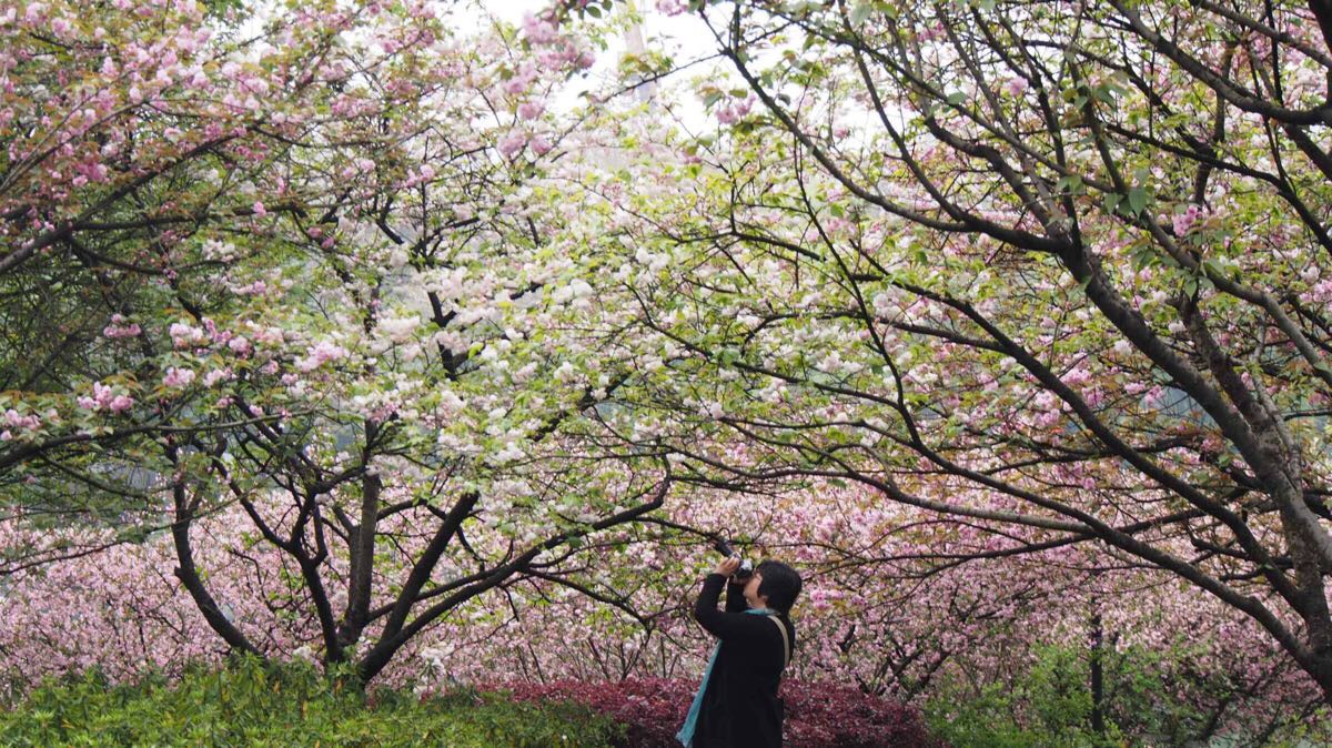 【携程攻略】杭州三台山景区景点,一条幽静的小路,没有团队客干扰