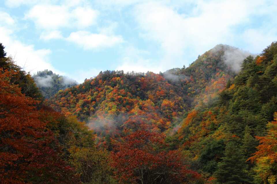 唐家河自然保护区旅游景点攻略图