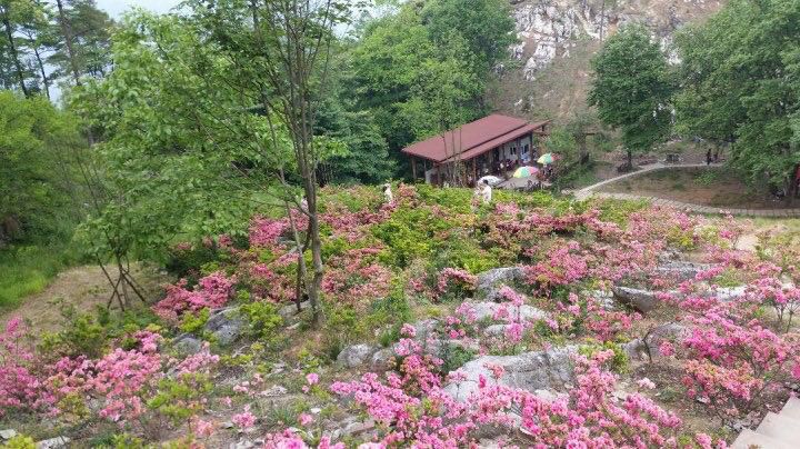 【携程攻略】四川绵阳北川药王谷好玩吗,四川药王谷怎