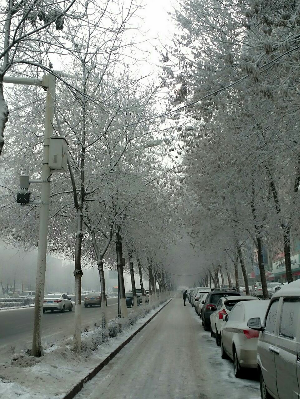 新疆是个好地方,欢迎内地的朋友过来旅游,冬天的雪景,如仙境般的美丽