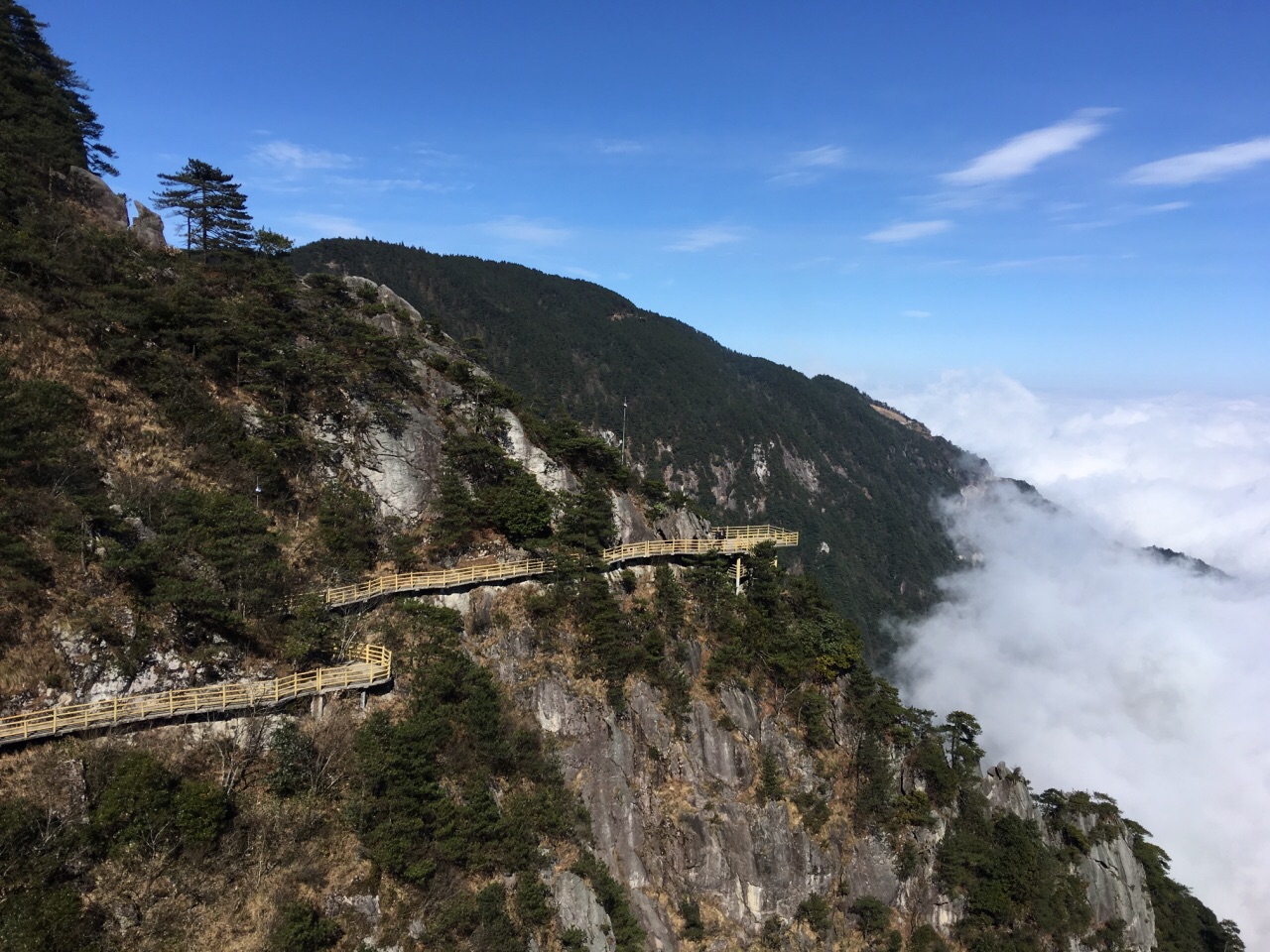 山月图片,3月图片,2月图片_大山谷图库