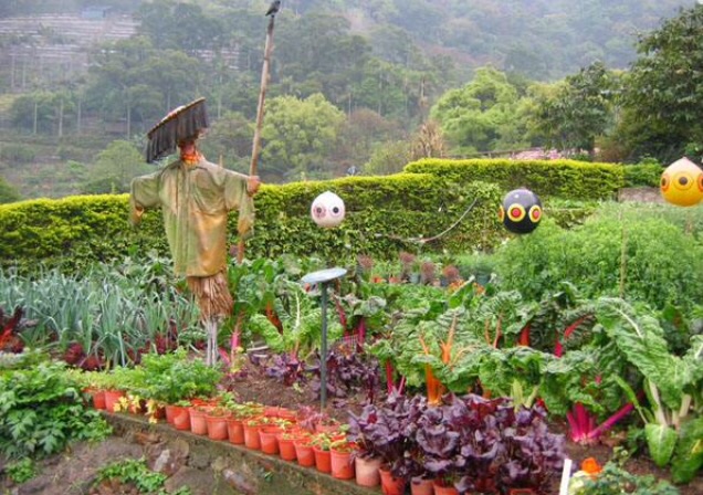 嘉道理农场暨植物园