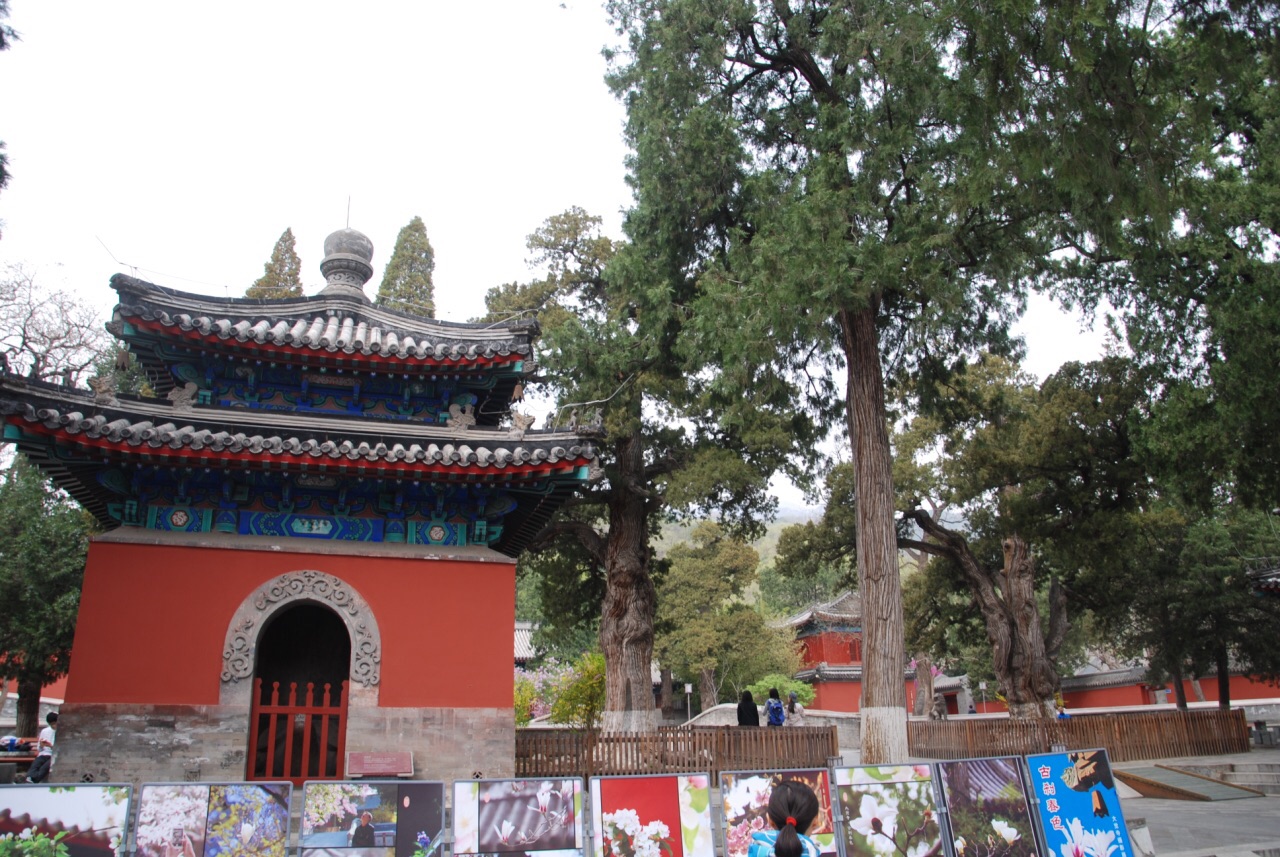 大觉寺旅游景点攻略图