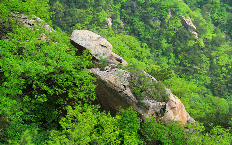 那一年,游走山东,平邑蒙山龟蒙景区自驾自由行【蒙山龟蒙顶,蒙山寿仙