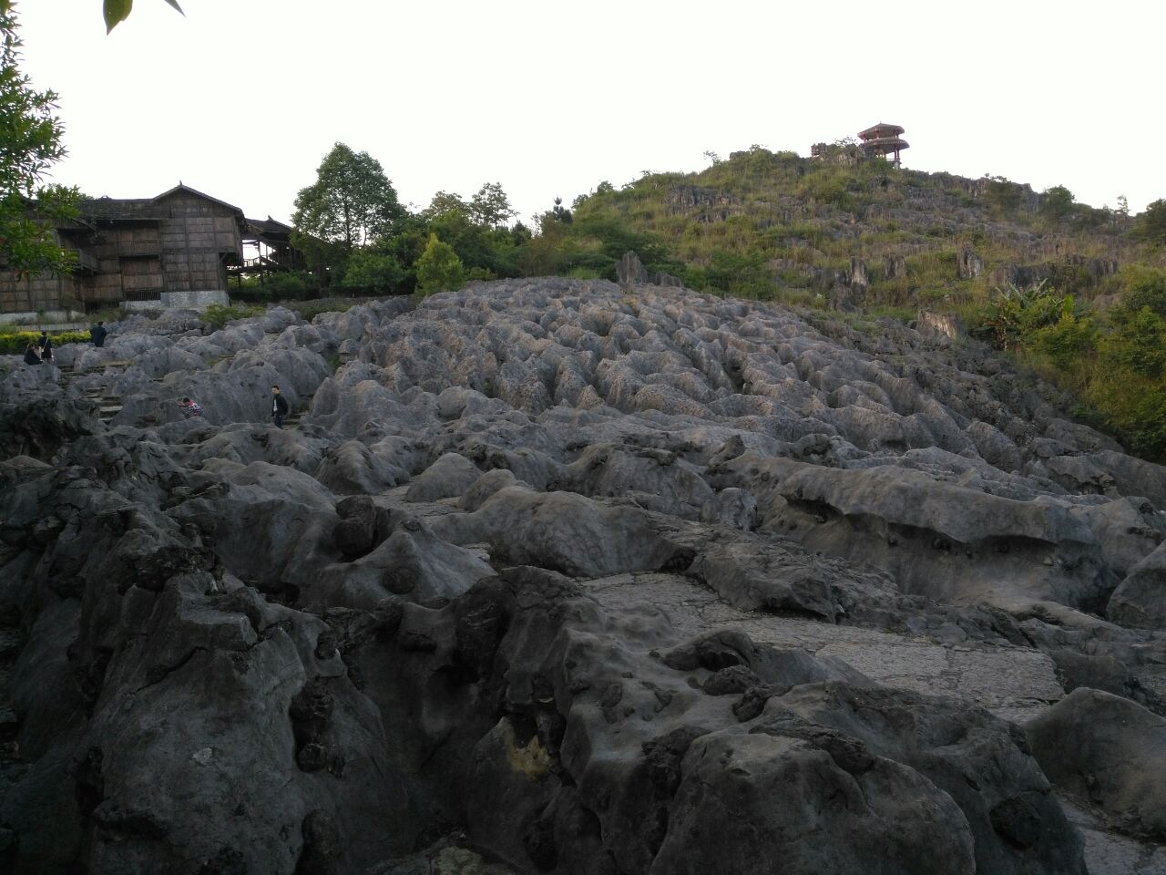 2019兴文石海_旅游攻略_门票_地址_游记点评,兴文旅游景点推荐 去