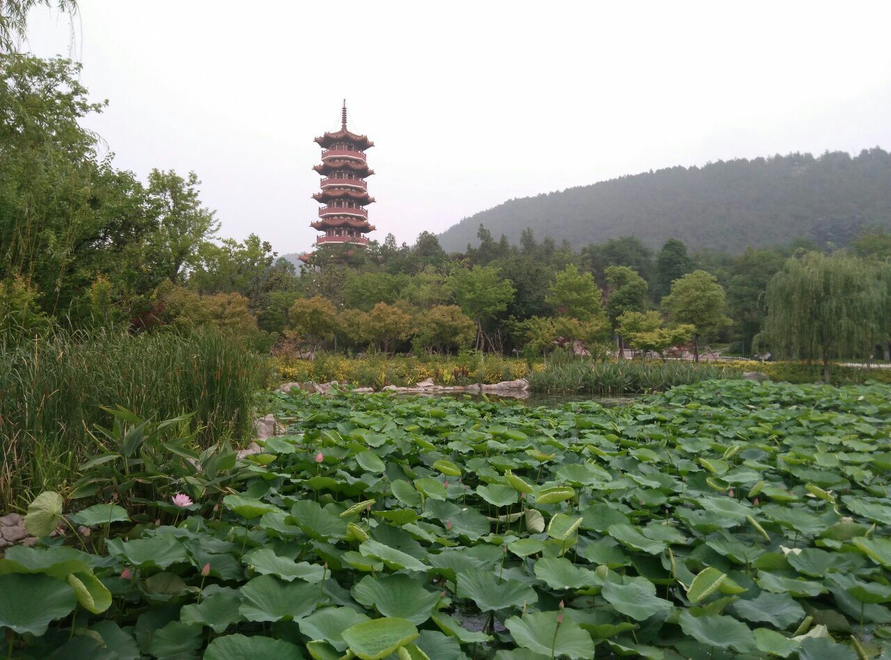 小南湖景区