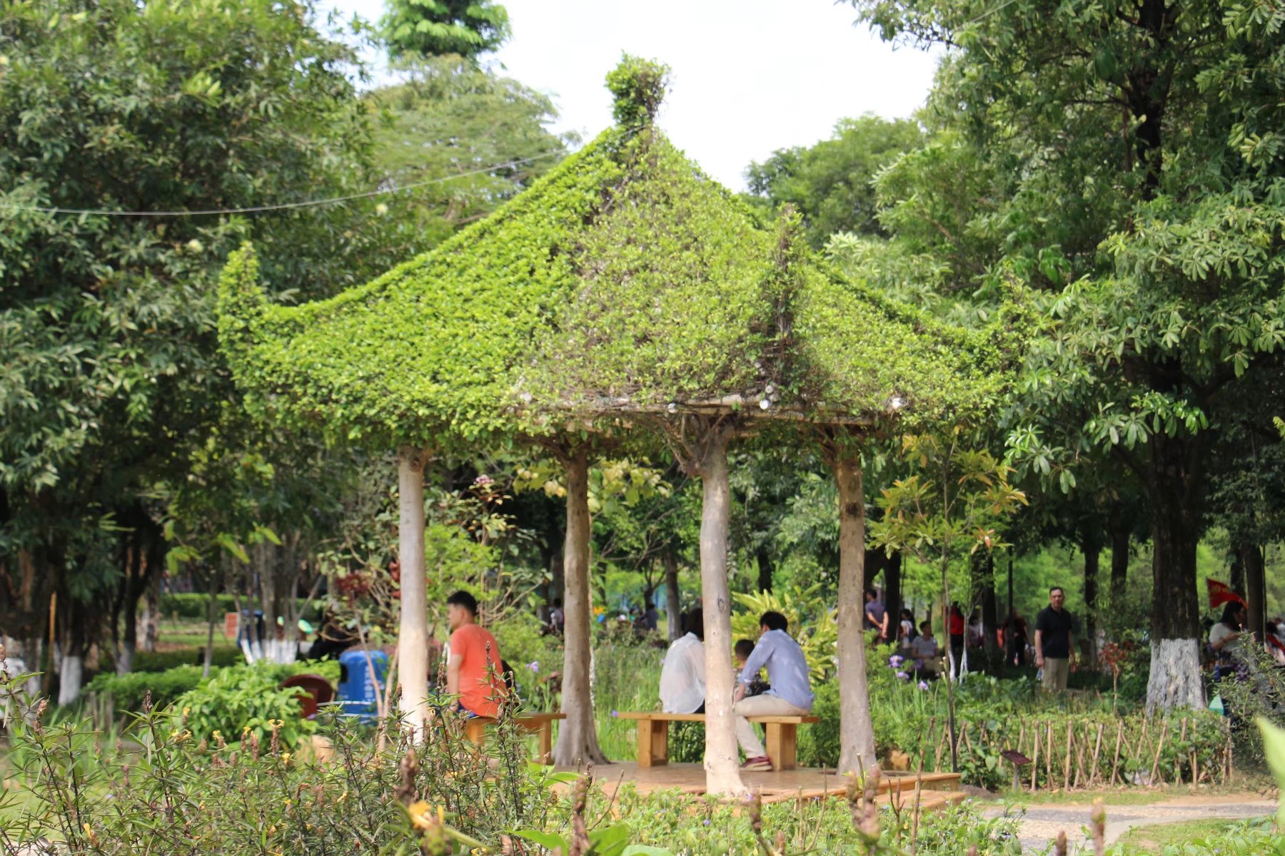 东莞植物园