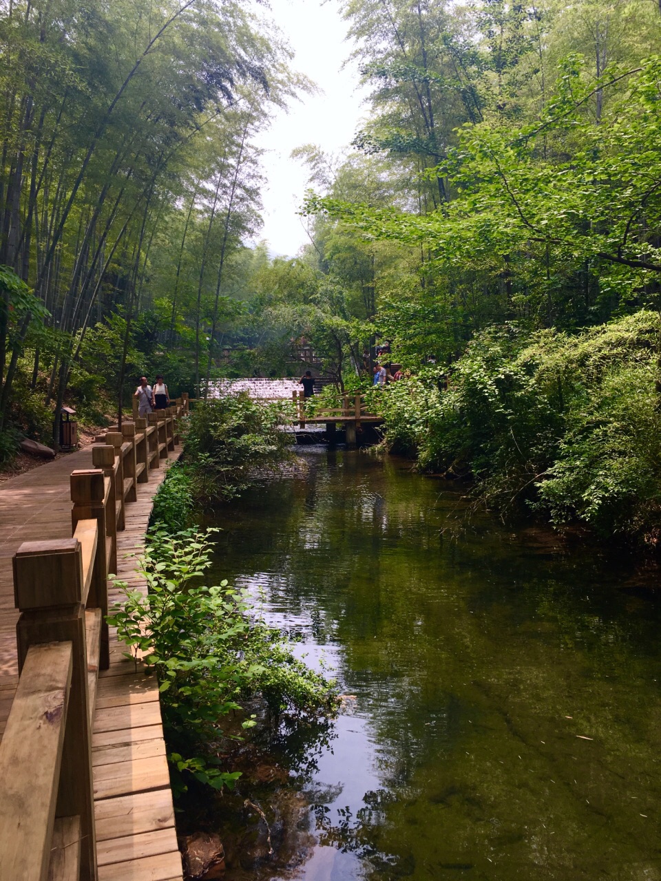 南山竹海