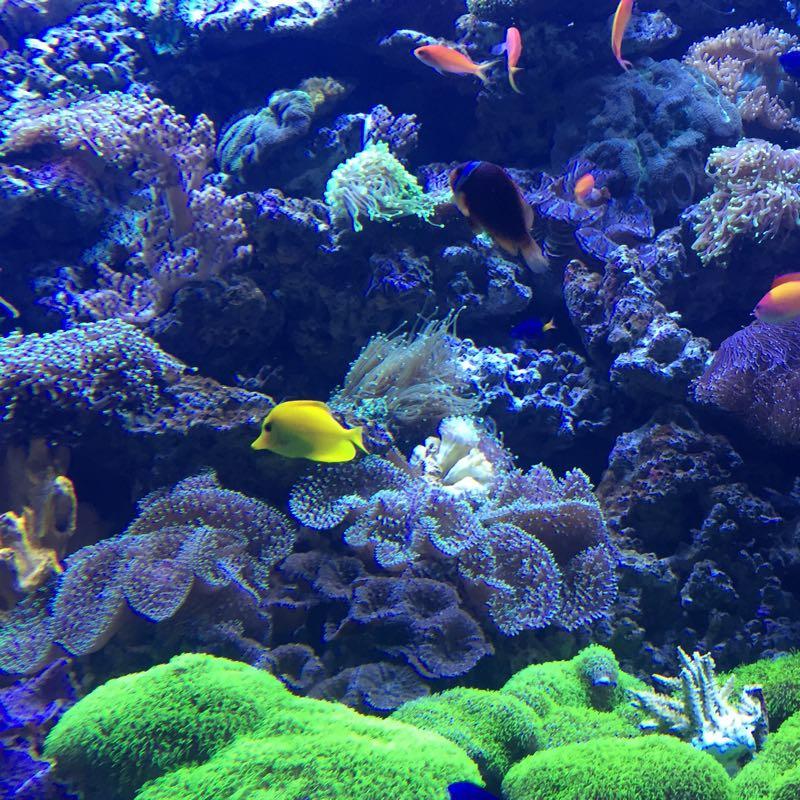 青岛海底世界