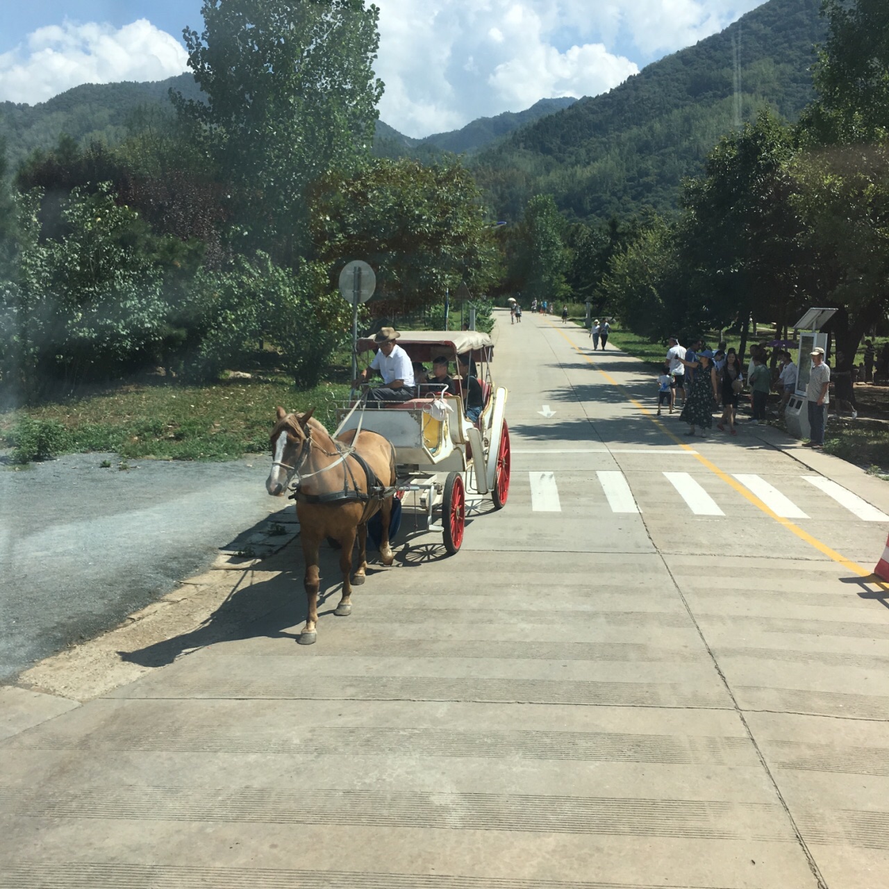 秦岭野生动物园旅游景点攻略图女庶攻略娘十图片