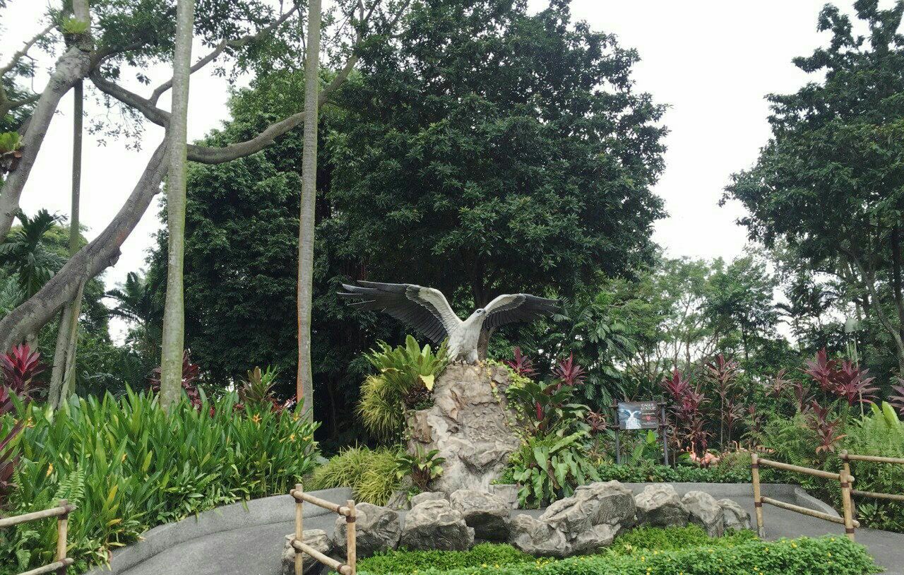 裕廊飞禽公园