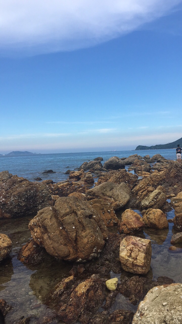杨梅坑