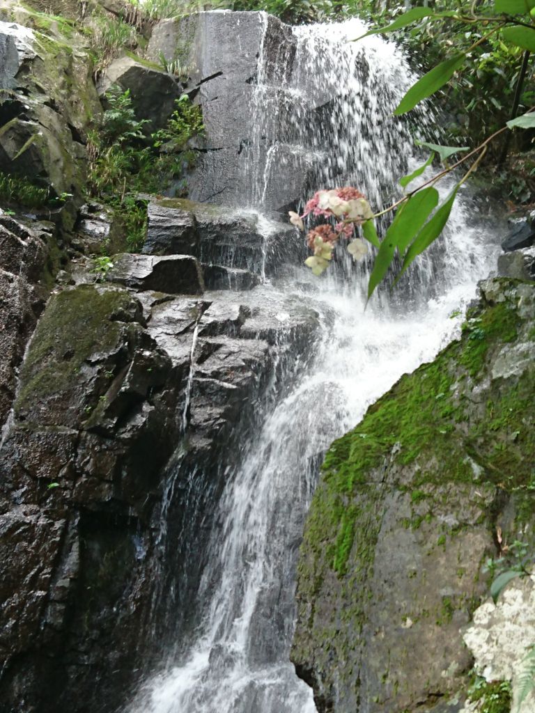 藏龙百瀑旅游景点攻略图