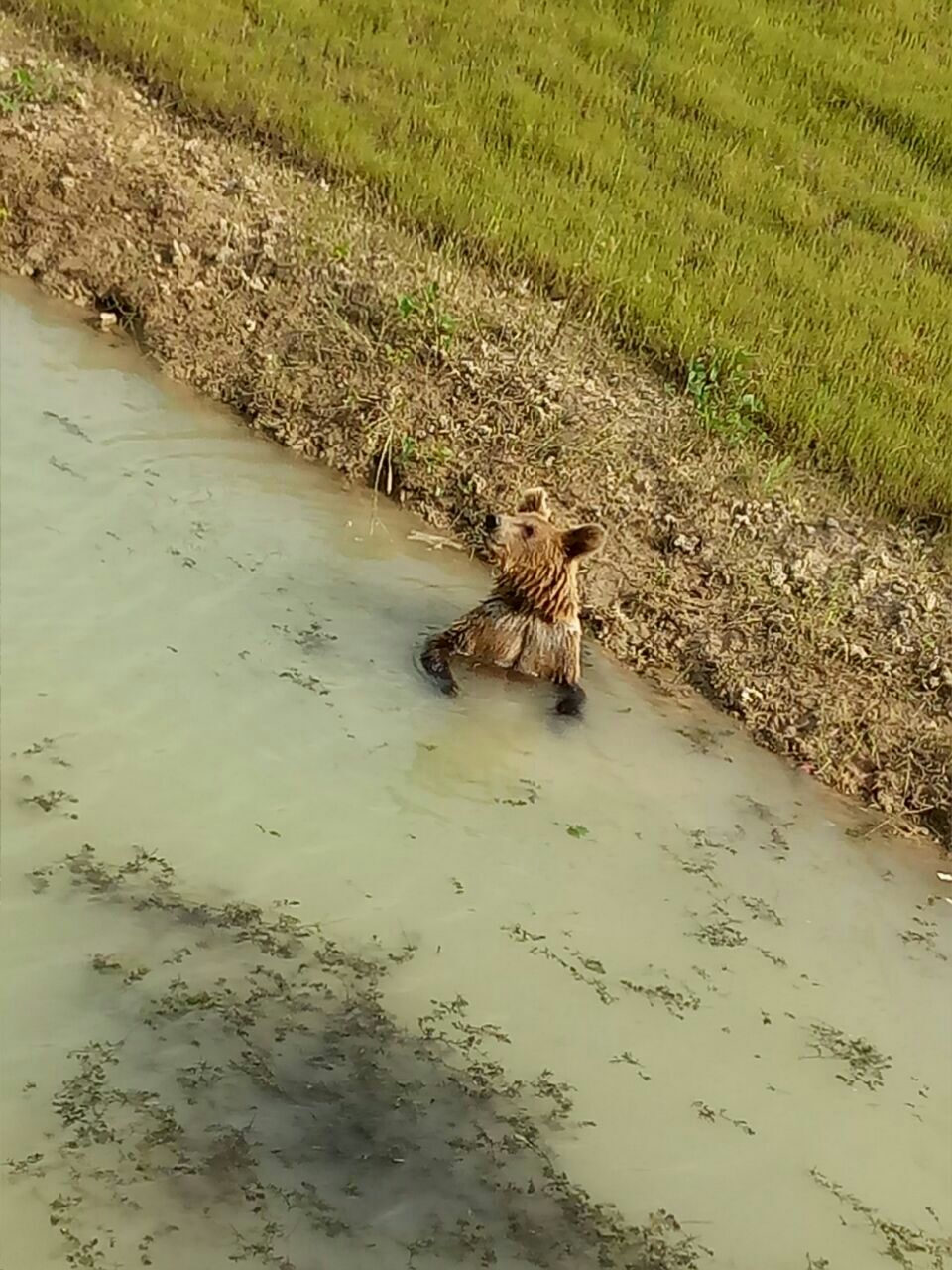 宿州野生动物园