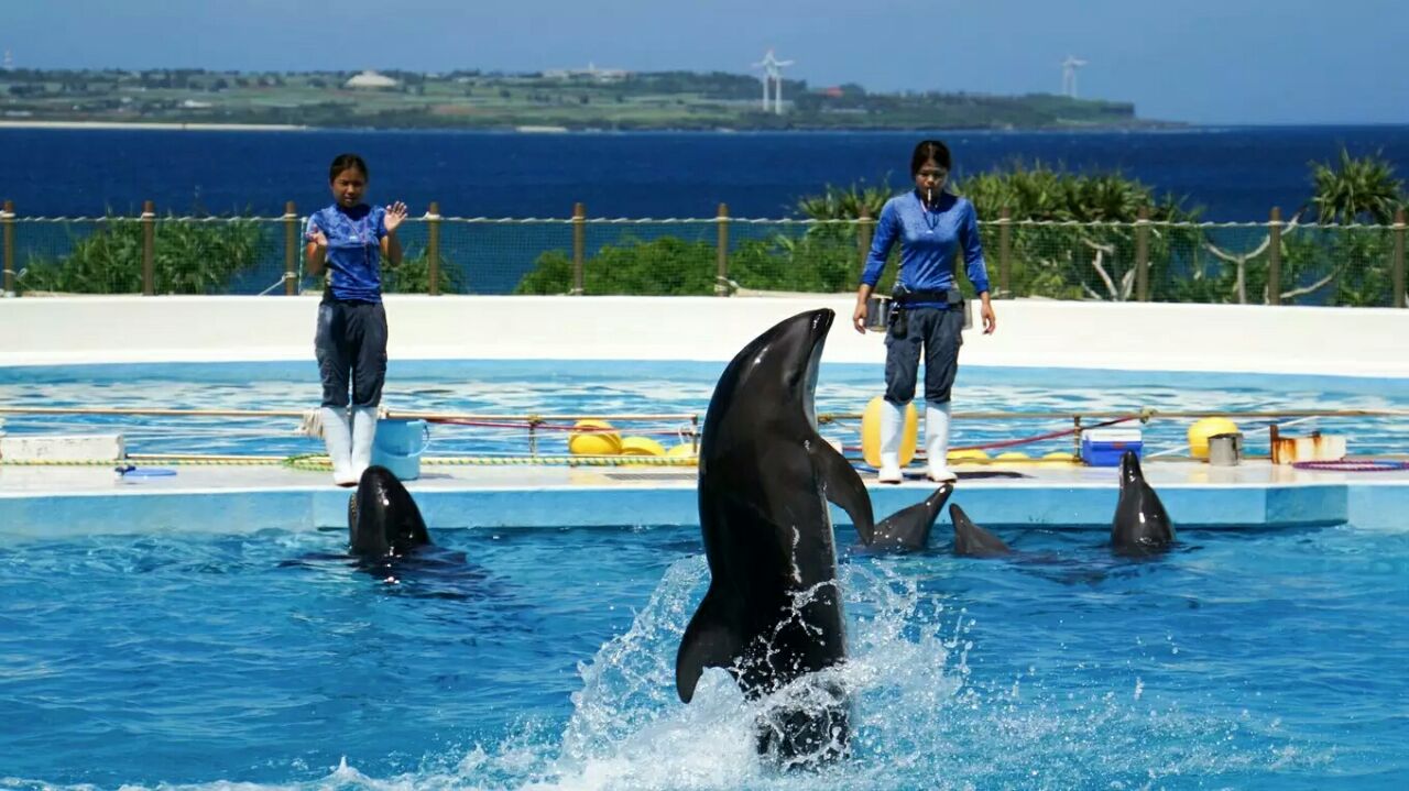 海洋博公园海豚表演剧场