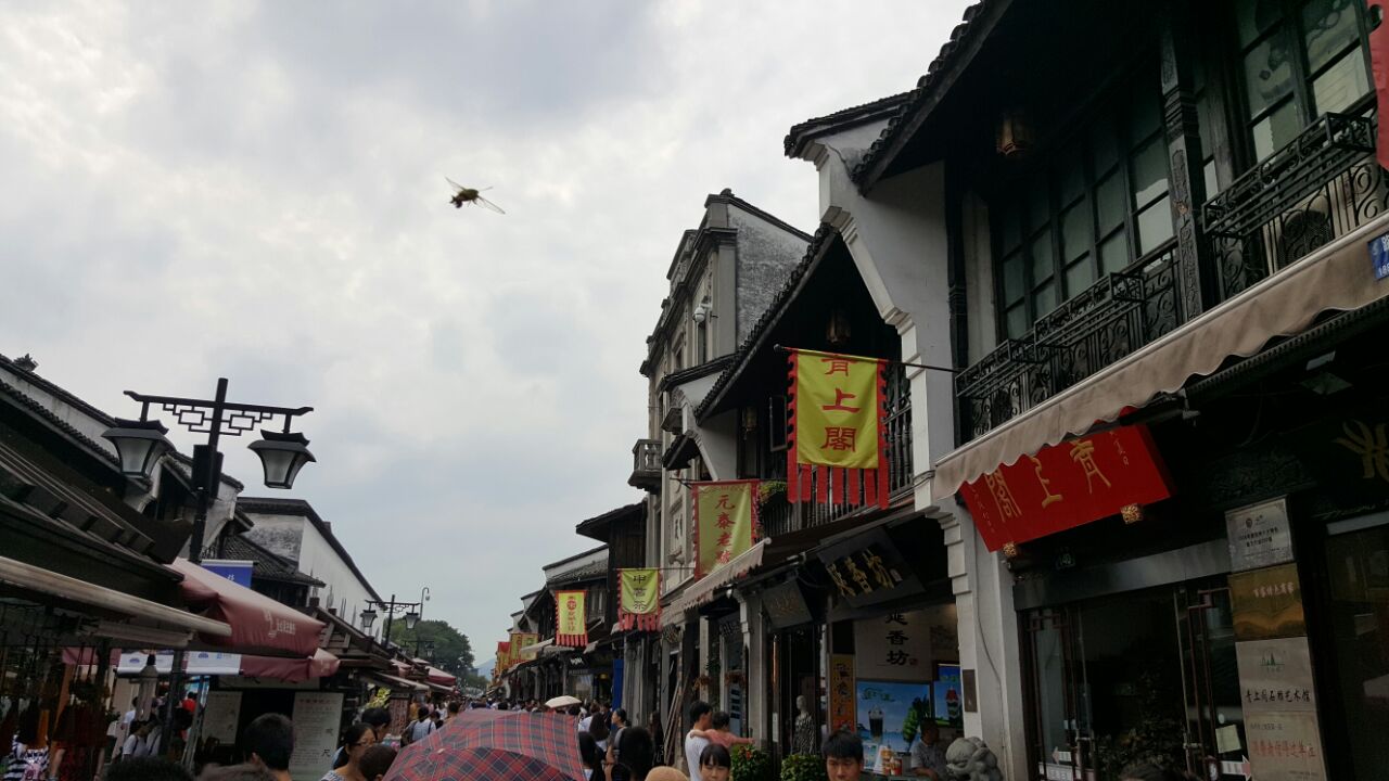 2019清河坊街_旅游攻略_门票_地址_游记点评,杭州旅游