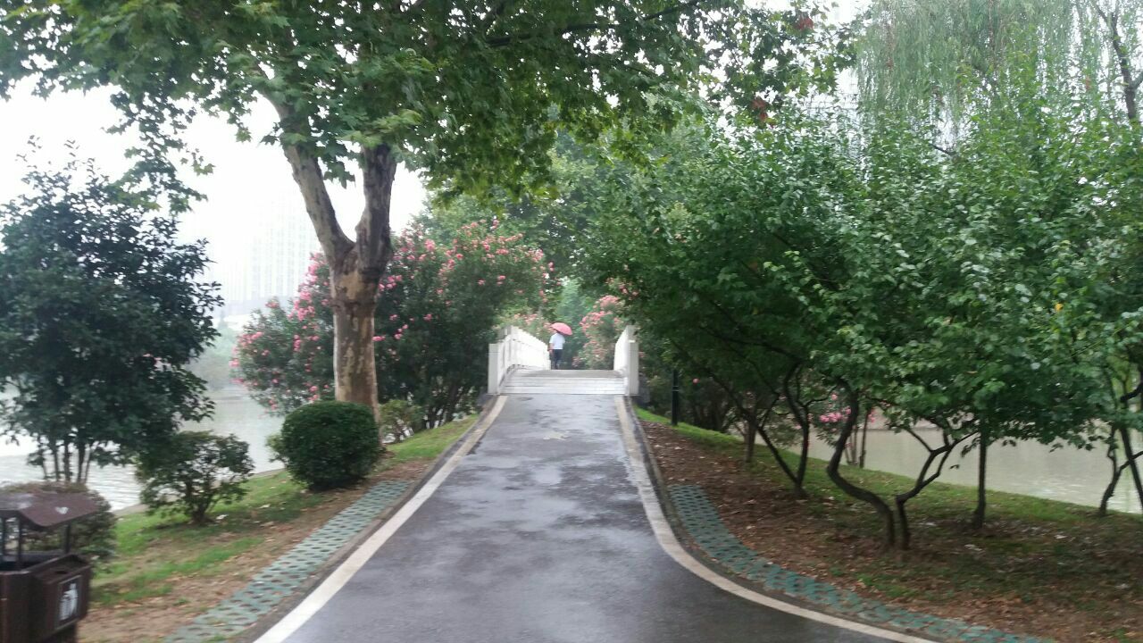 菱角湖公园