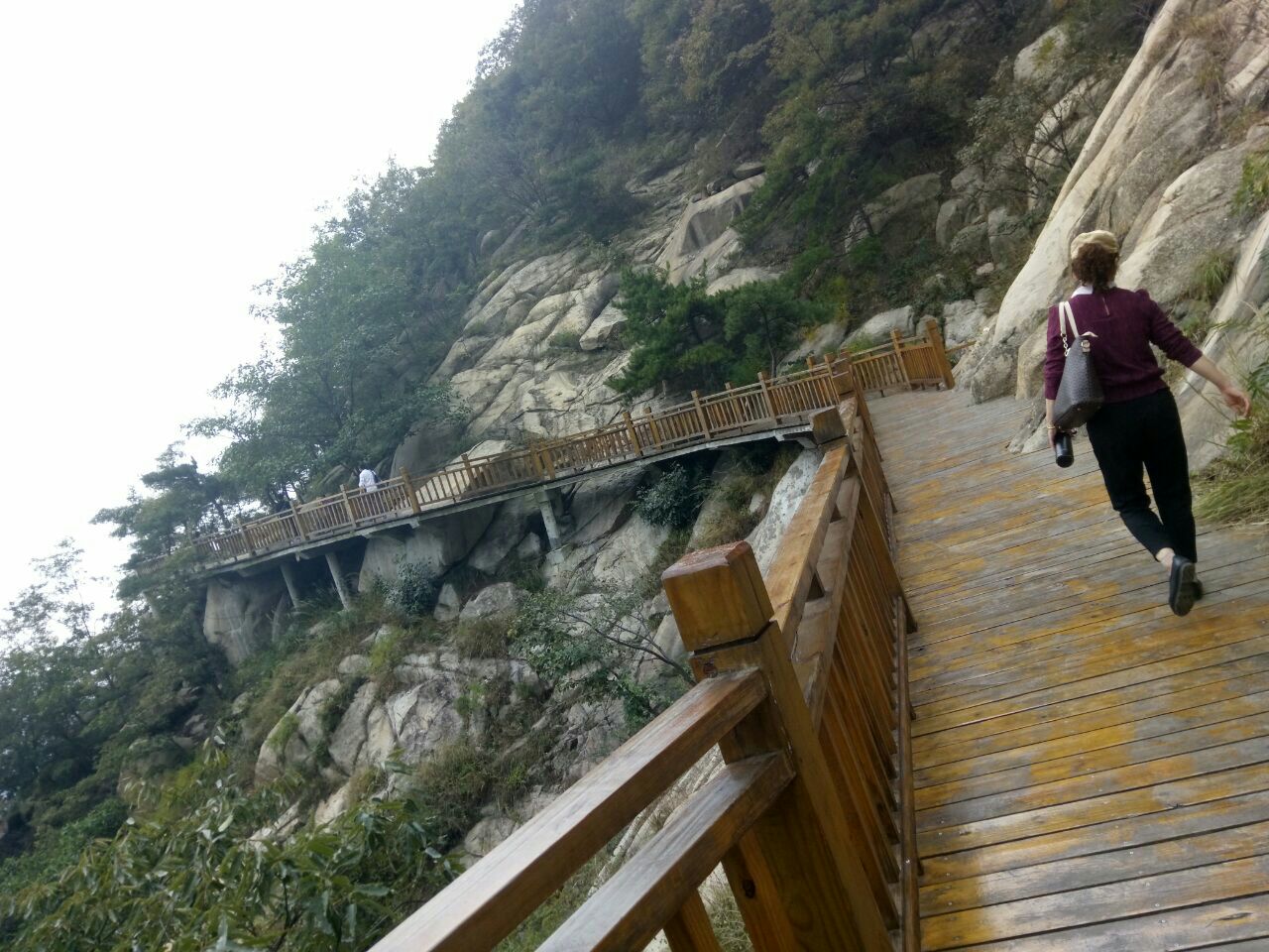 鲁商新泰新甫山(原新泰莲花山)