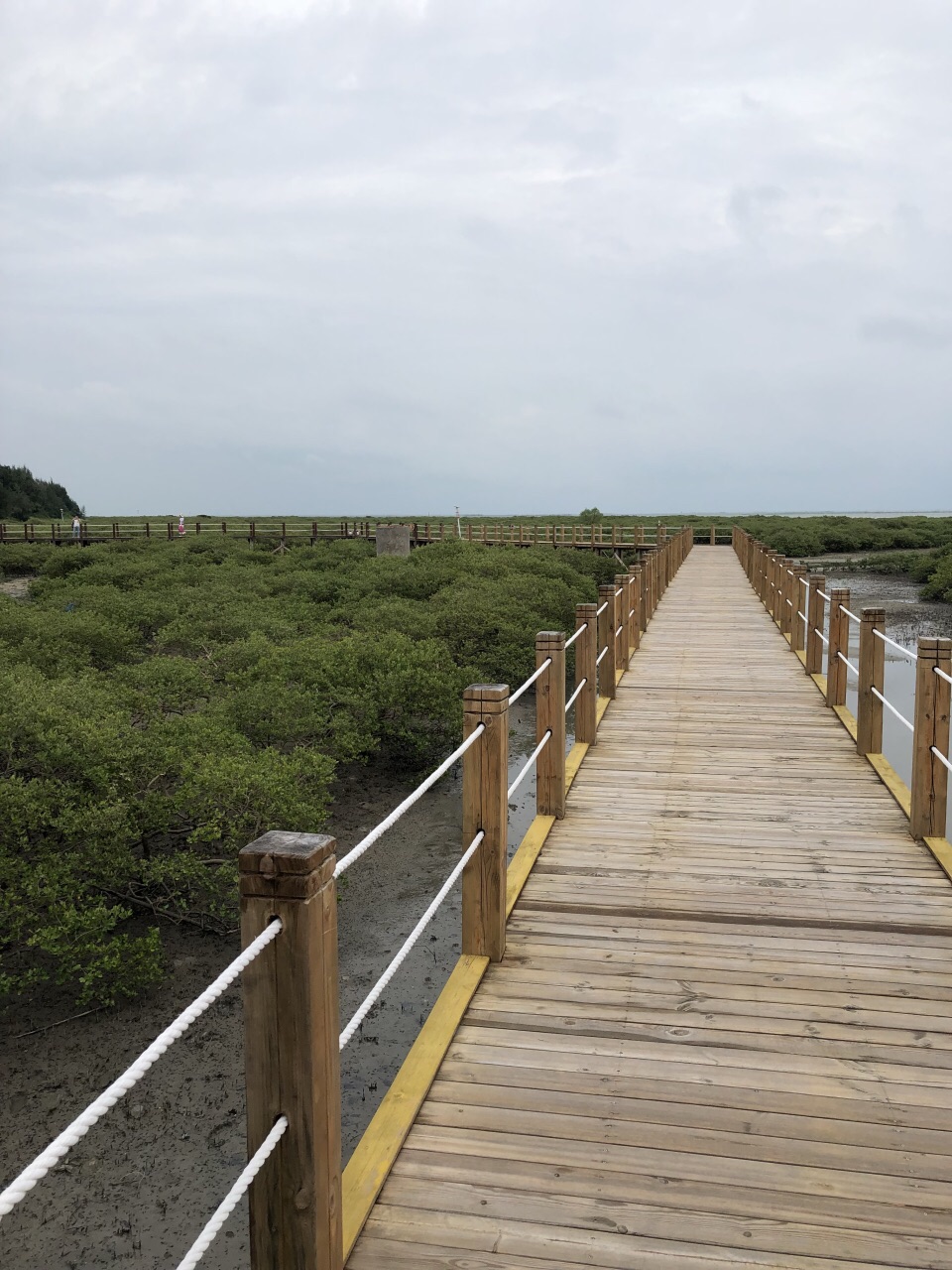 北海金海湾红树林生态旅游区