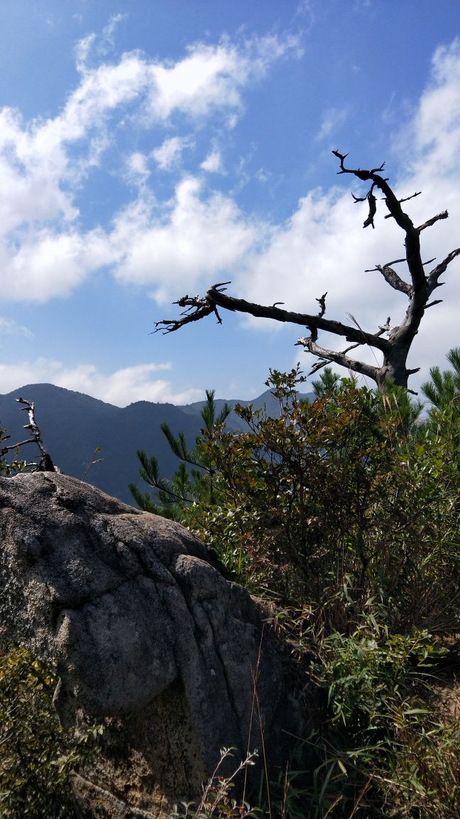 大别山主峰景区白马尖