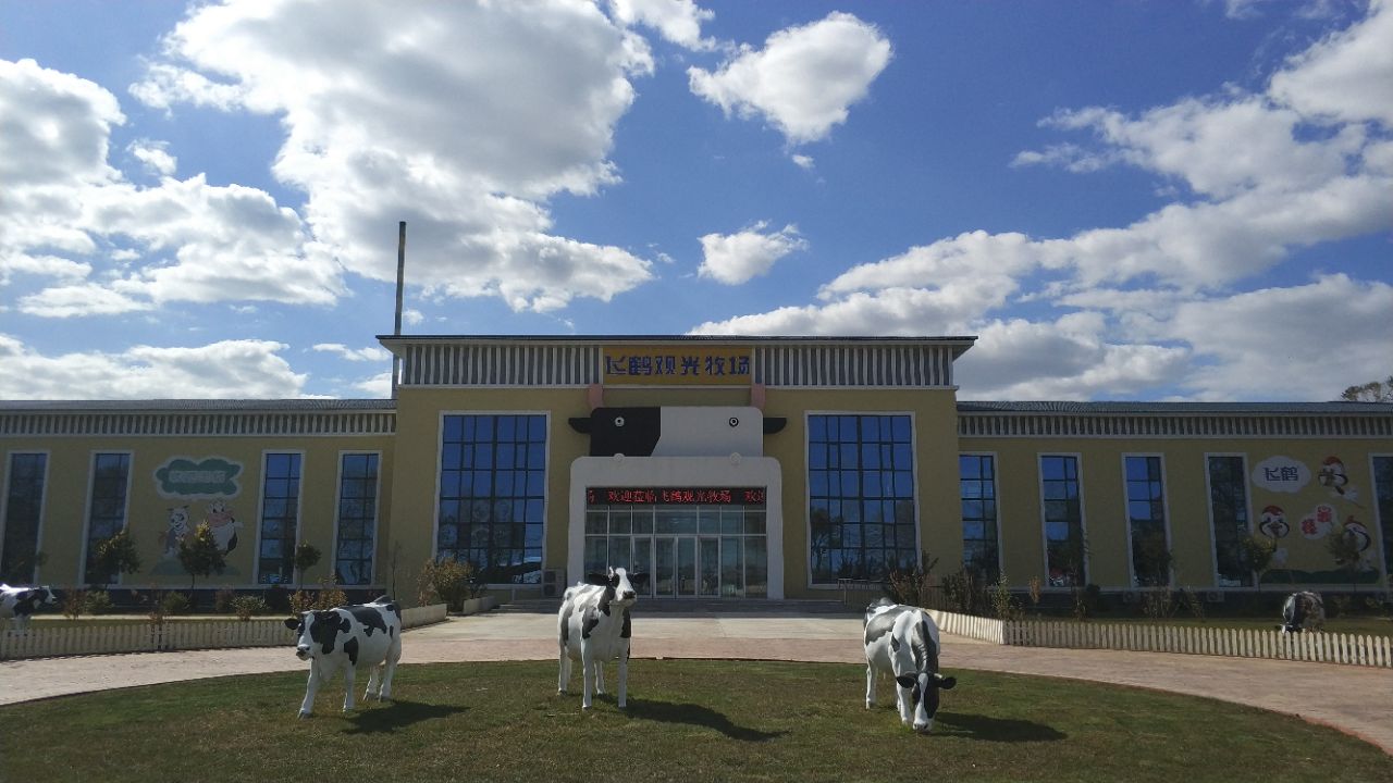 新建成的飞鹤牧场,位于市区去往扎龙自然保护区的路上,无论是来去,都