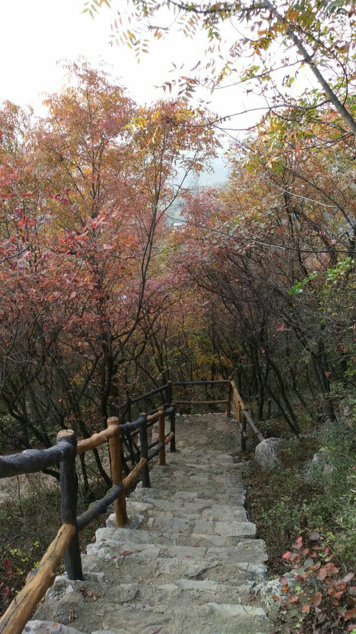 沂源凤凰山风景区好玩吗,沂源凤凰山风景区景点怎么样