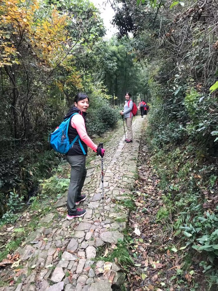 青山隐隐水迢迢 秋尽江南草未凋——湖州古道徒步纪实